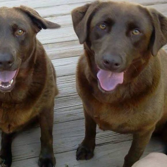 Meet your Posher, Paula - Picture 1 of 1